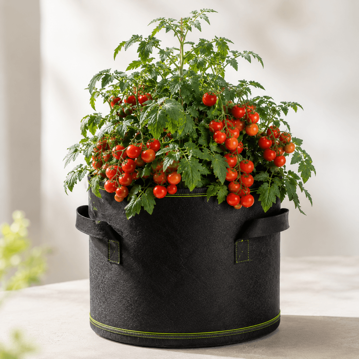 Growo - Donica na Własne Warzywa Bez Ogrodu 46 Litrów 🍅